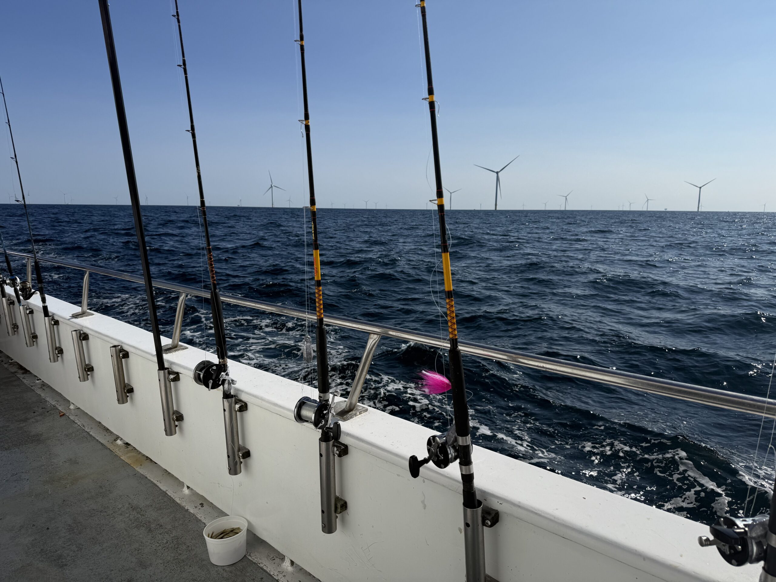 Fishing rods lined up along the rail, turbines visible in the background